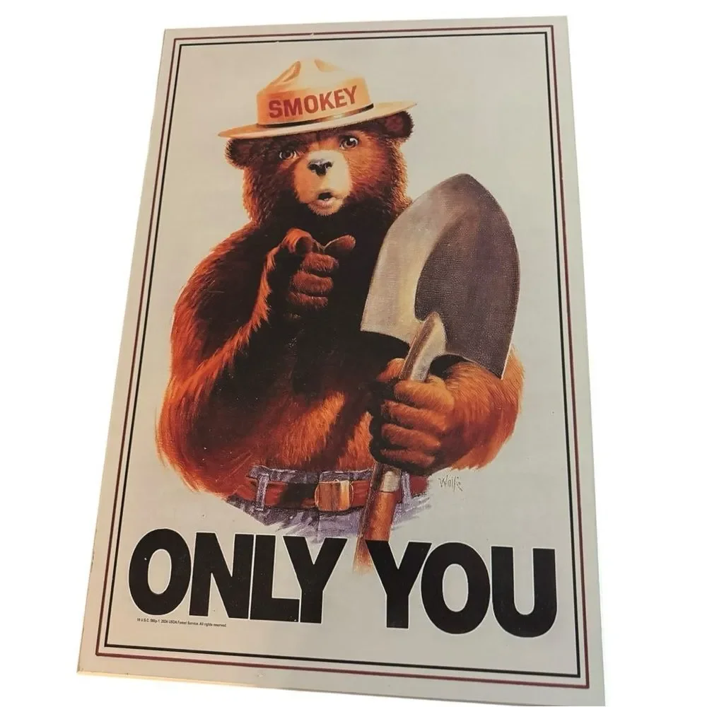 🌟 Open Road Brands Smokey Bear Wall Art - Brown, Blue, Red